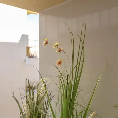 Appartement Near Playa De Bajondillo *